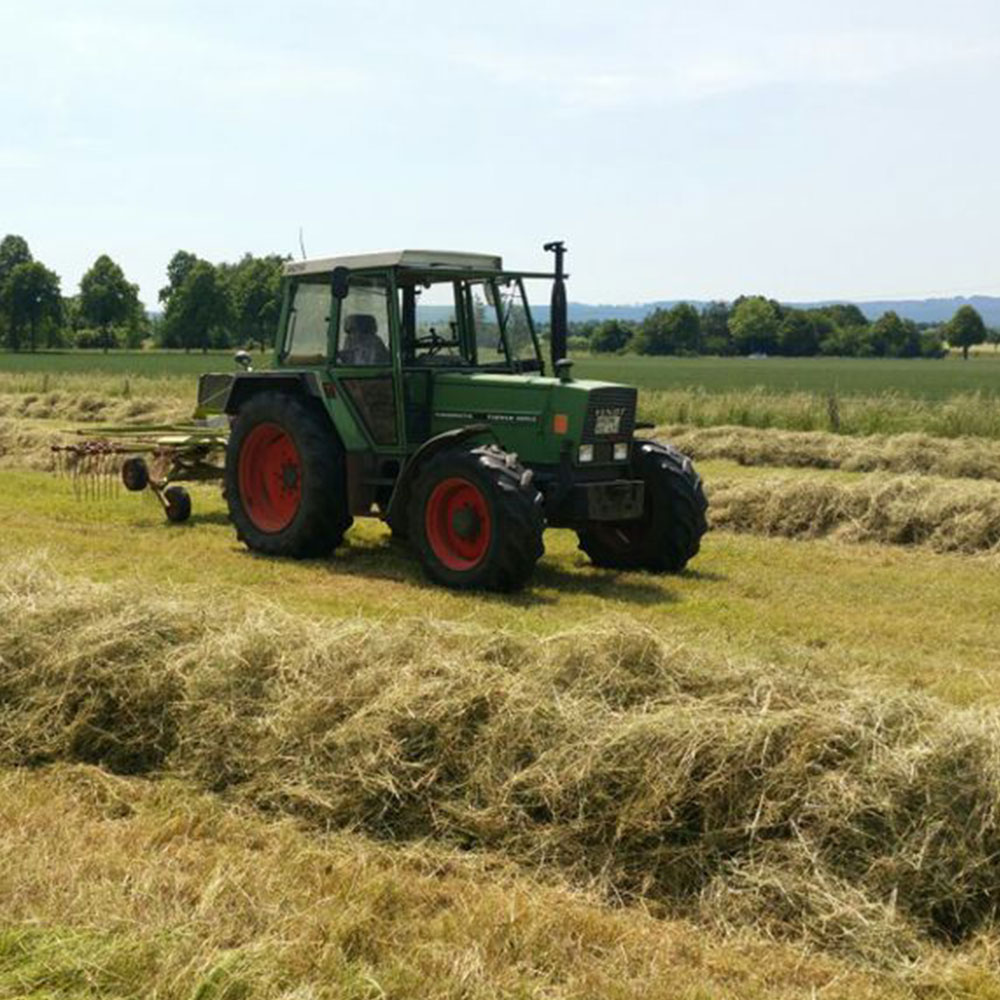 Hof Wolper: Landwirtschaft
